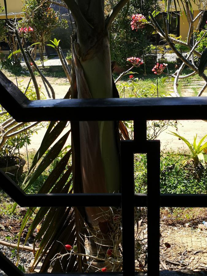 Cam Nam Homestay Hoi An Exterior photo