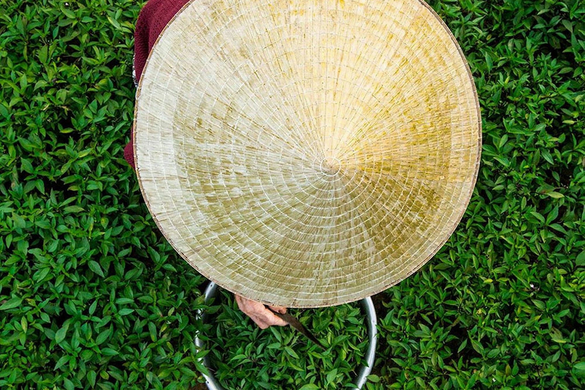 Cam Nam Homestay Hoi An Exterior photo