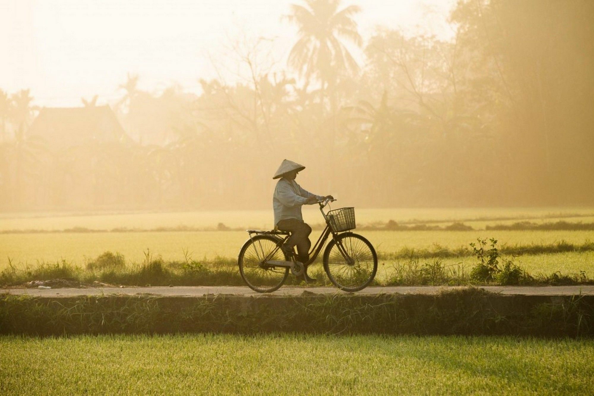 Cam Nam Homestay Hoi An Exterior photo
